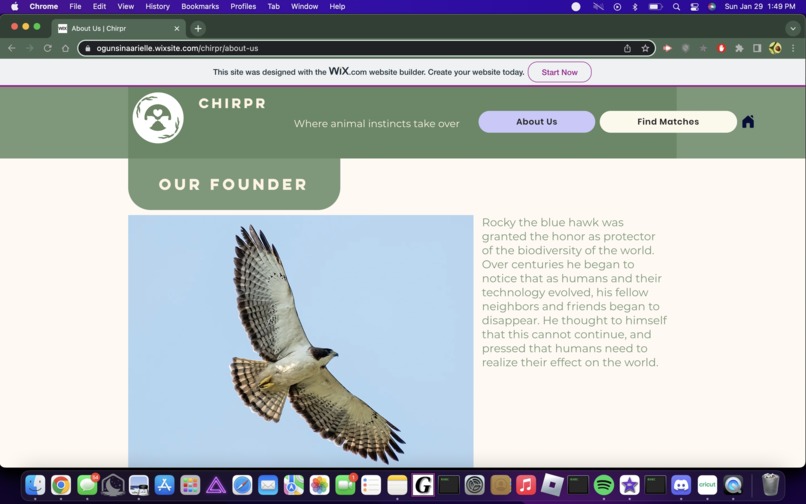 Chirpr - Where animal instincts takeover – screenshot 3