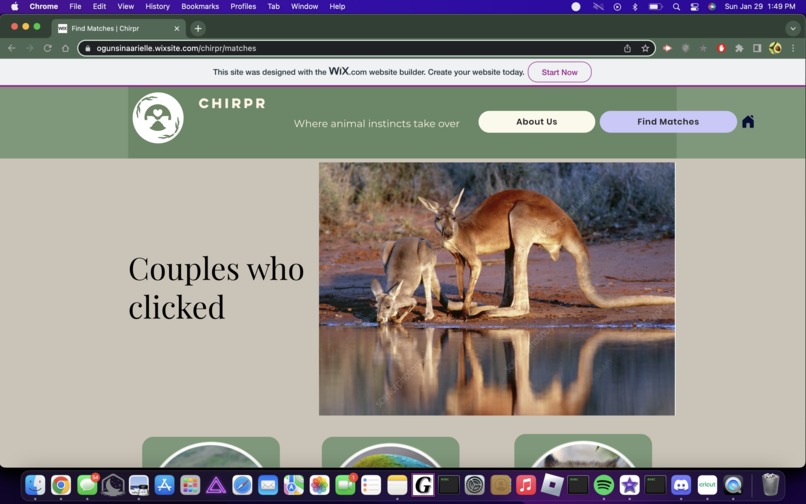 Chirpr - Where animal instincts takeover – screenshot 4