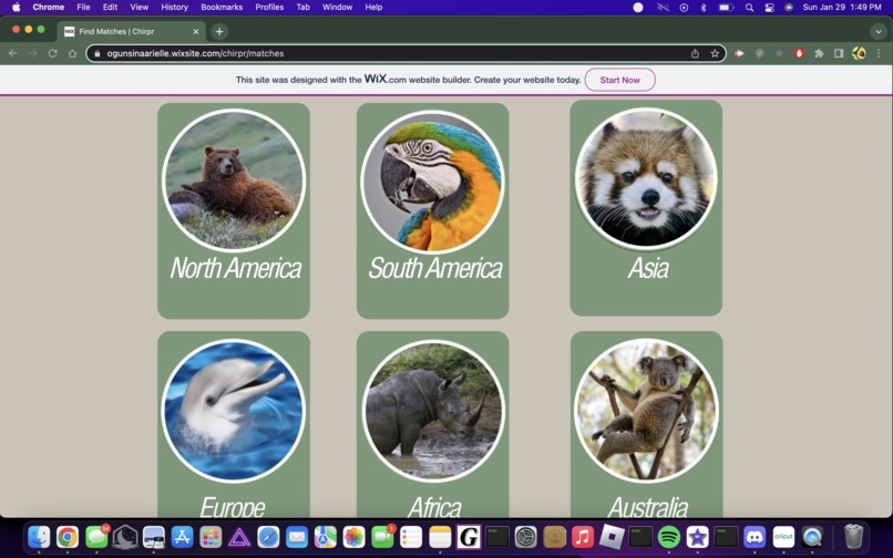 Chirpr - Where animal instincts takeover – screenshot 5