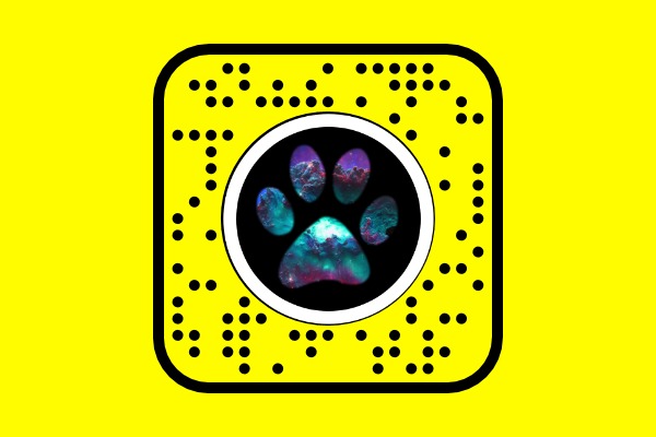 Space Cat – screenshot 2