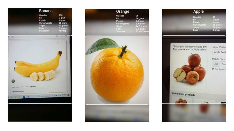 Fruit Nutrition – screenshot 1