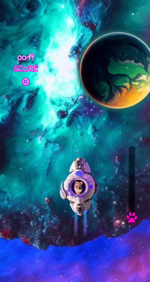 Space Cat – screenshot 3