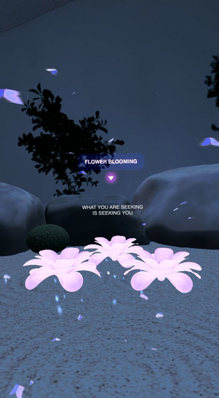 Zen Garden – screenshot 3