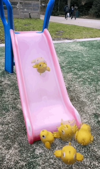 BOUNCY CHICKS – screenshot 3