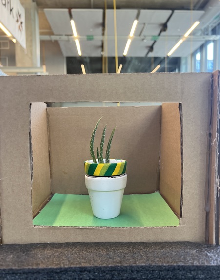 Tartan Garden – screenshot 1