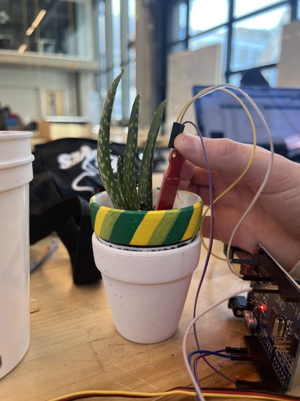 Tartan Garden – screenshot 2