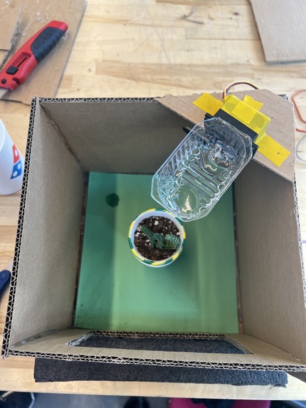 Tartan Garden – screenshot 3