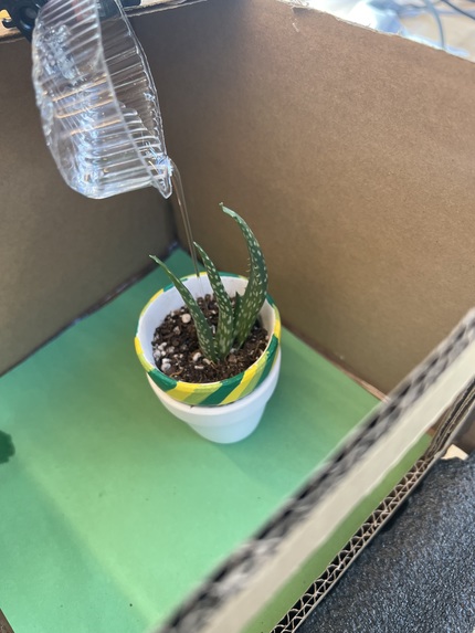 Tartan Garden – screenshot 4