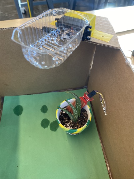 Tartan Garden – screenshot 5