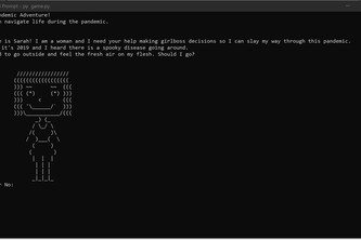 Sarah's Pandemic Adventure