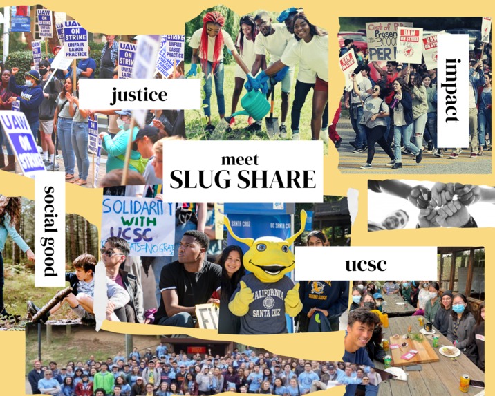 Slug Share – screenshot 1