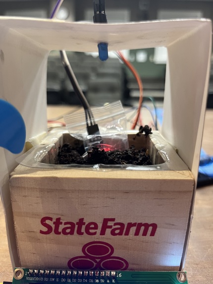 Plant-N-Go – screenshot 3