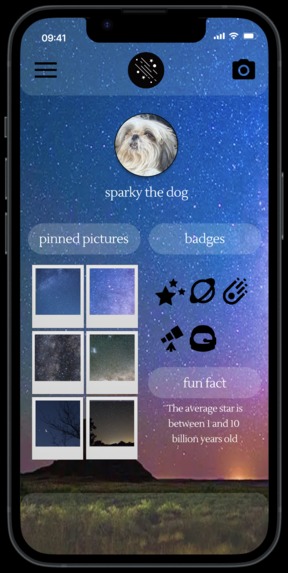 Star Capture – screenshot 4