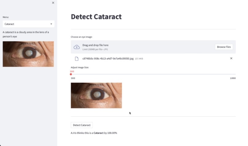 Iris – screenshot 2
