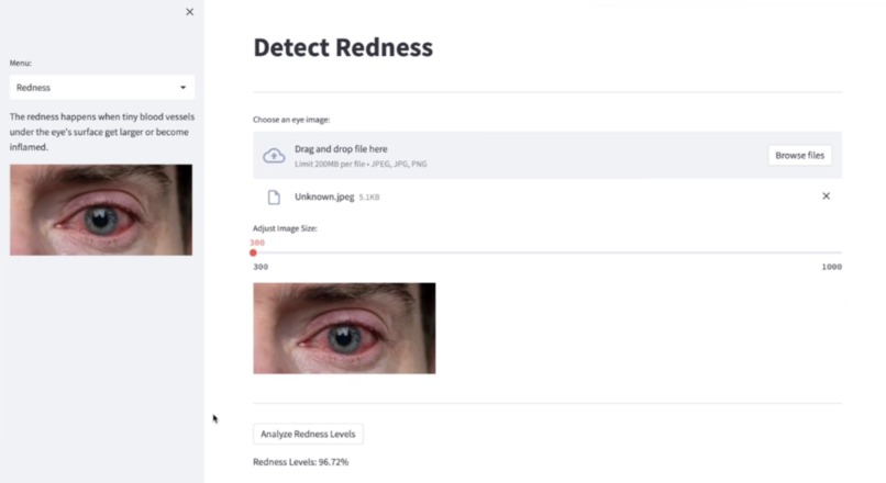Iris – screenshot 4