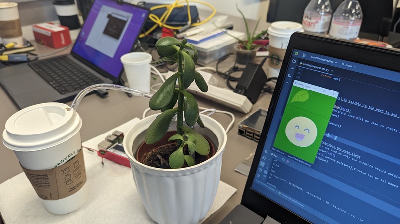 Plantagotchi – screenshot 1