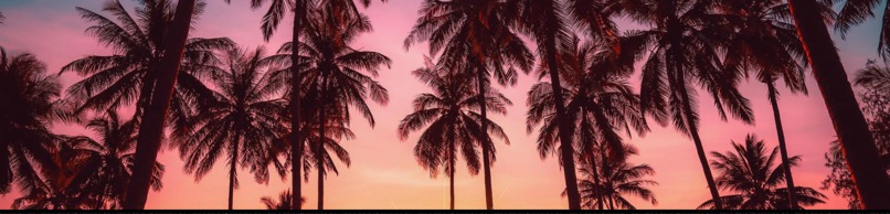 Find Your Paradise – screenshot 3