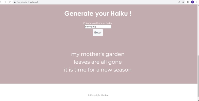 Hacku – screenshot 1