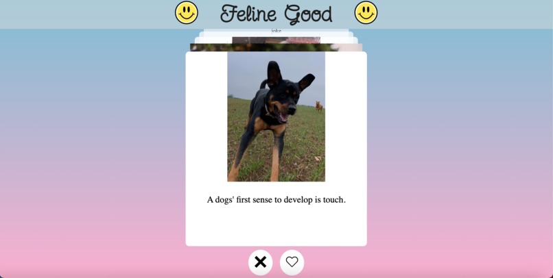 Feline Good – screenshot 1