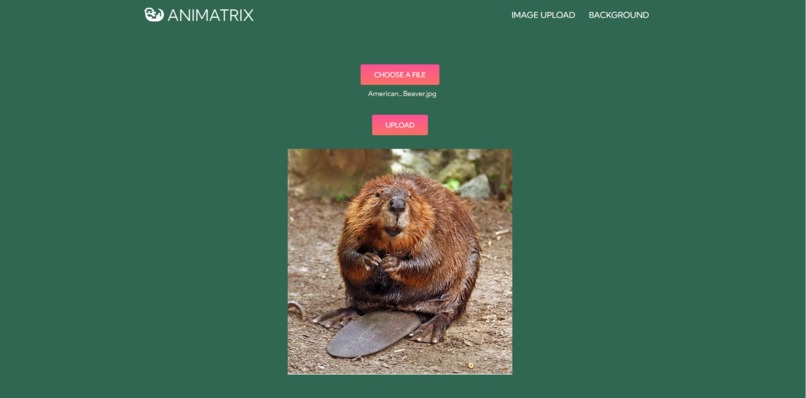 Animatrix – screenshot 3