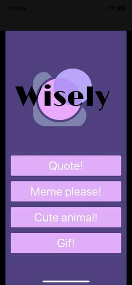 Wisely – screenshot 3