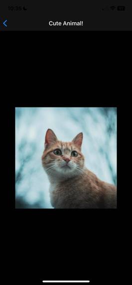 Wisely – screenshot 6