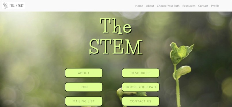 The STEM – screenshot 1