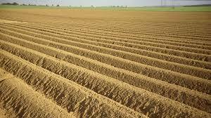 RS_cultures_agricoles – screenshot 1