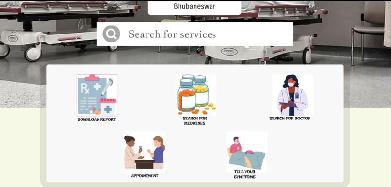 E-diagnostic report (healthcare)  – screenshot 2