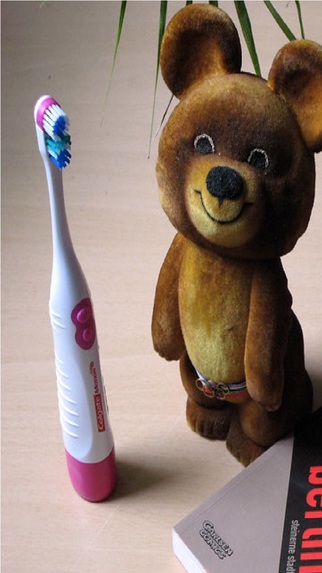 Beauty Object Detector For Vision Impairment People – screenshot 3