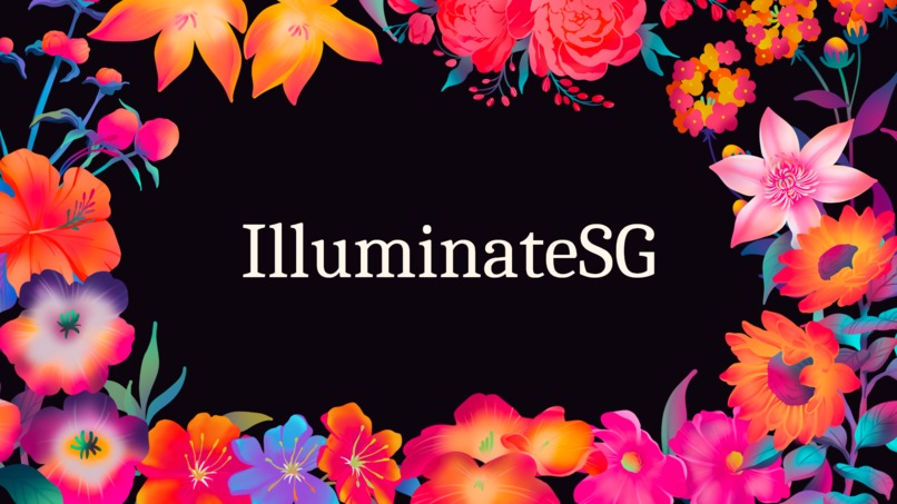 IlluminateSG – screenshot 1