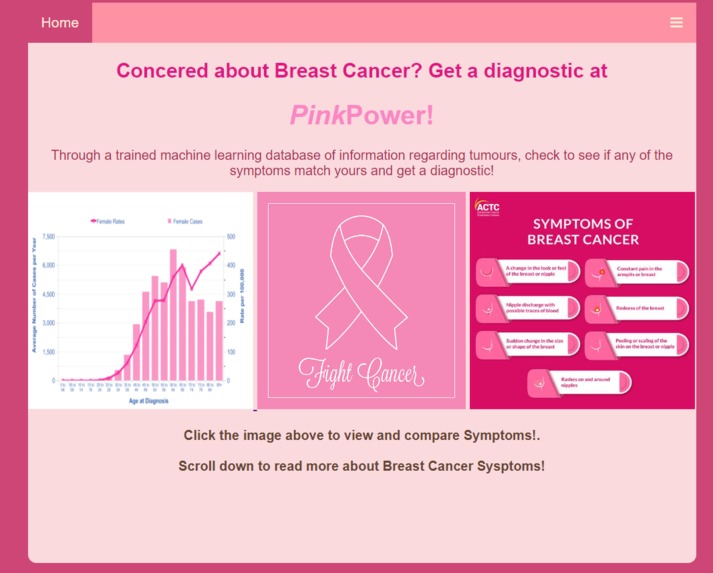 PinkPower – screenshot 1