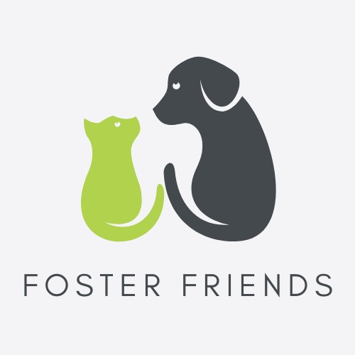 Foster Friends – screenshot 2