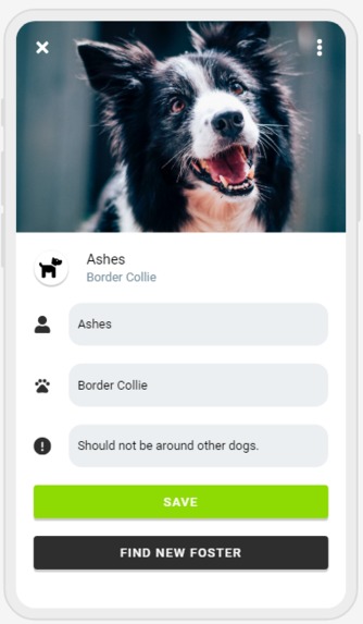 Foster Friends – screenshot 3