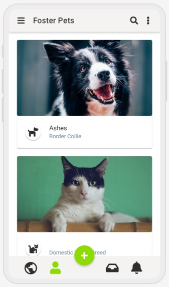 Foster Friends – screenshot 5