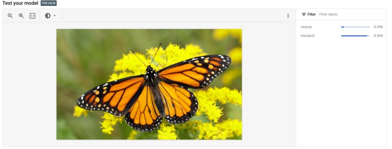 A Climate Based Analysis Of Monarch Butterfly Patterns – screenshot 2