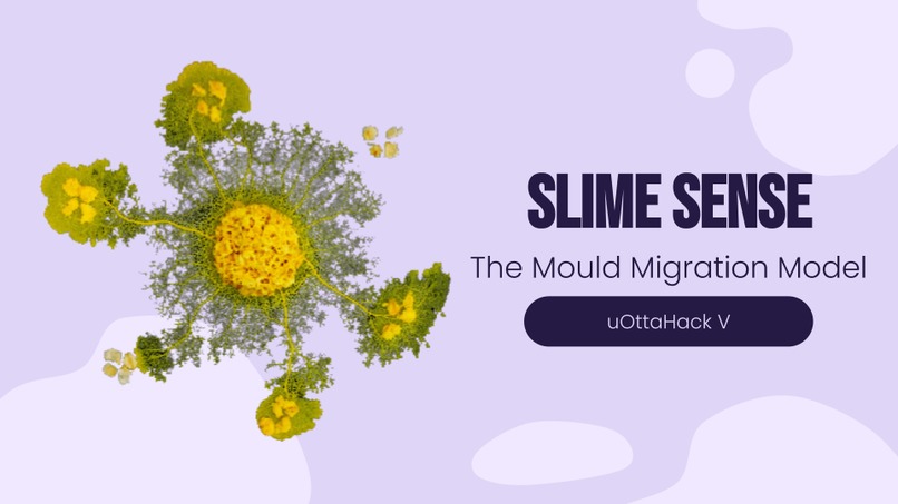 Slime Sense: The Mould Migration Model – screenshot 1