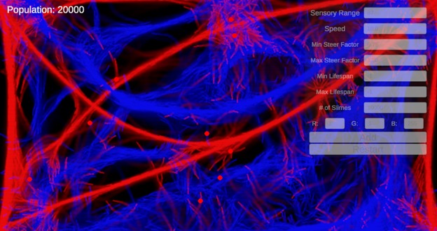Slime Sense: The Mould Migration Model – screenshot 2