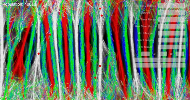 Slime Sense: The Mould Migration Model – screenshot 3