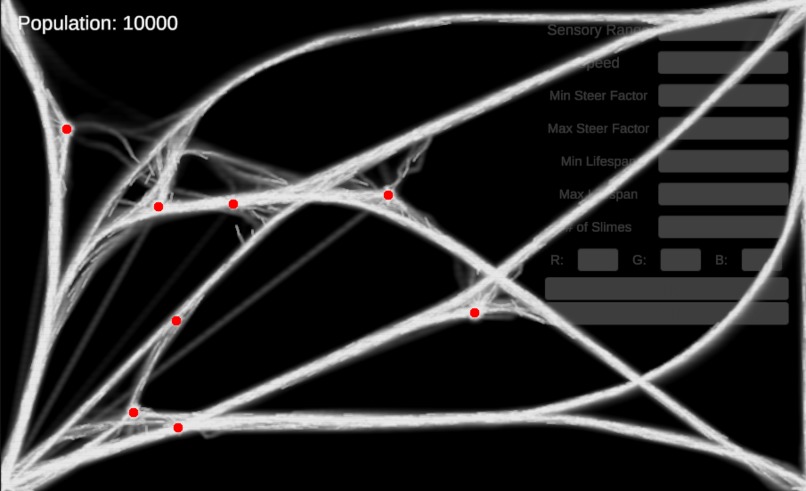 Slime Sense: The Mould Migration Model – screenshot 4