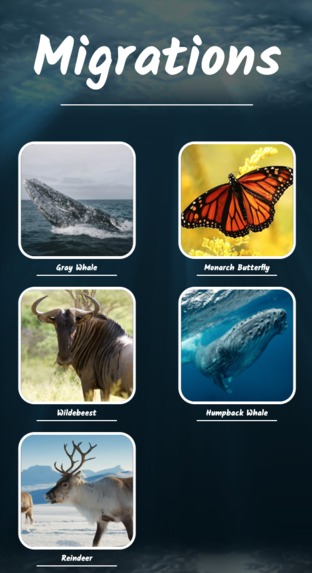 Migrations – screenshot 1