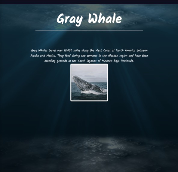 Migrations – screenshot 2