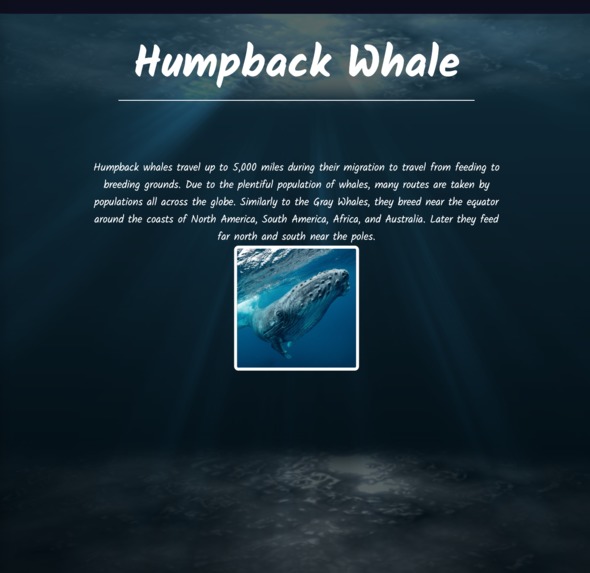 Migrations – screenshot 3