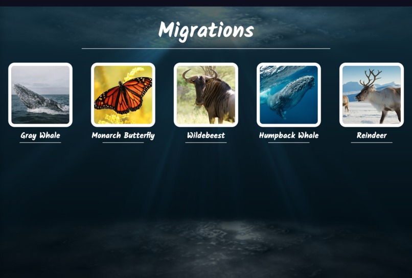 Migrations – screenshot 5