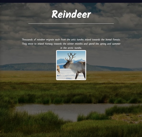Migrations – screenshot 6