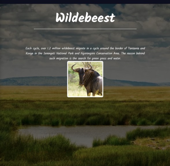 Migrations – screenshot 7