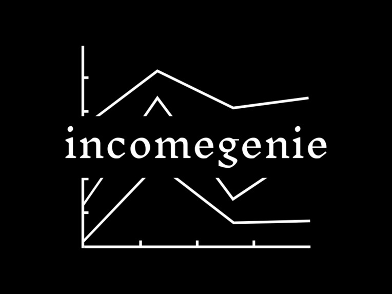 IncomeGenie – screenshot 1