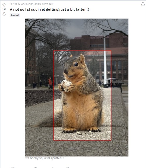 Squirrel Lens – screenshot 1