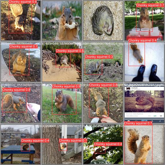 Squirrel Lens – screenshot 2