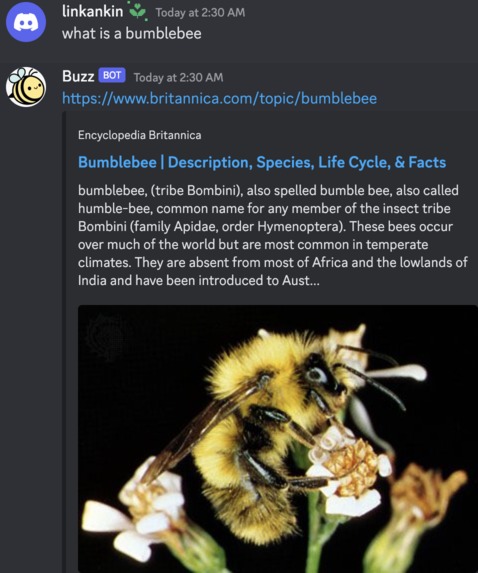 Be a Bee – screenshot 7